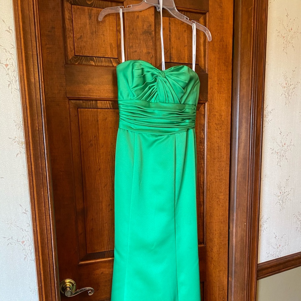 David’s Bridal Bridesmaid dress